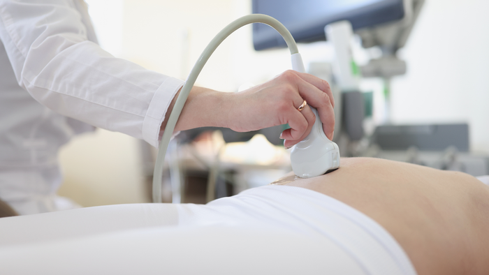 yolk sac in early pregnancy2