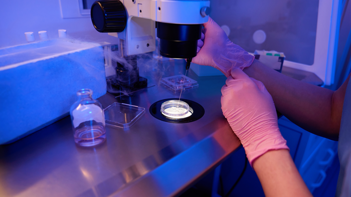 oocyte degeneration during ICSI2