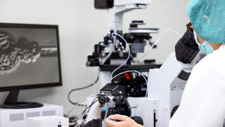 What Is Embryo Fragmentation? Causes, Grading, and Its Impact on IVF Success