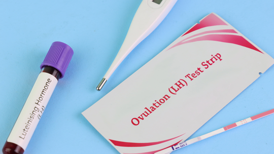 Can You Ovulate Twice in One Month?