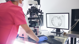 Calcium Ionophore Activation in IVF: Who Needs It and Why?