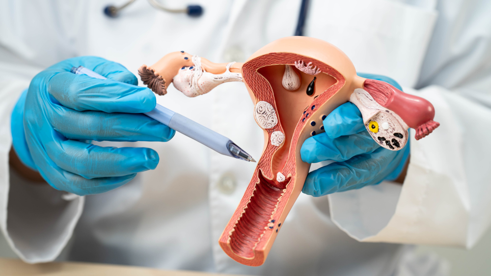 What Is Ovarian Reserve Discordance? When AMH and Antral Follicle Count Don’t Match