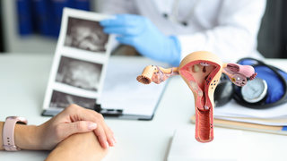 What Is Endometrial Fluid During IVF and Can It Affect Embryo Transfer?