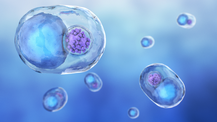 chlamydia in pregnancy2