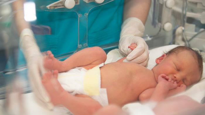 what does a neonatal ventilator do2