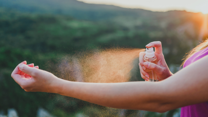 mosquito bite prevention during pregnancy2