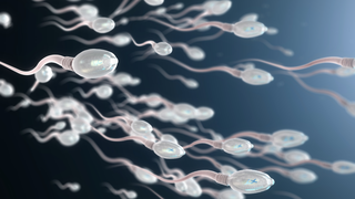 Abnormal Sperm Shape: Can It Affect Male Fertility?