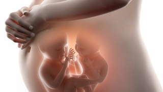 Can You Have Twins Without a Family History?