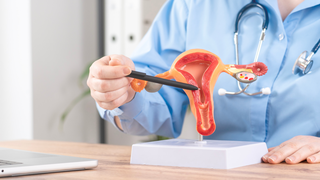 Heart-Shaped Uterus vs Divided Uterus: What Is the Difference?