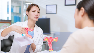 Uterus Didelphys: Pregnancy With Two Wombs: Is It Possible?