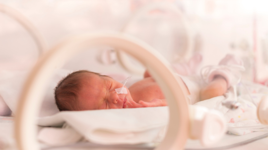 Feeding Problems in Newborns: What Parents Should Know