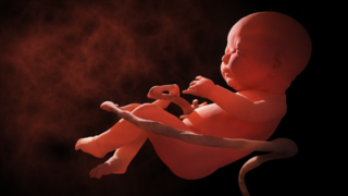 Amniotic Band Syndrome: What It Means for the Baby