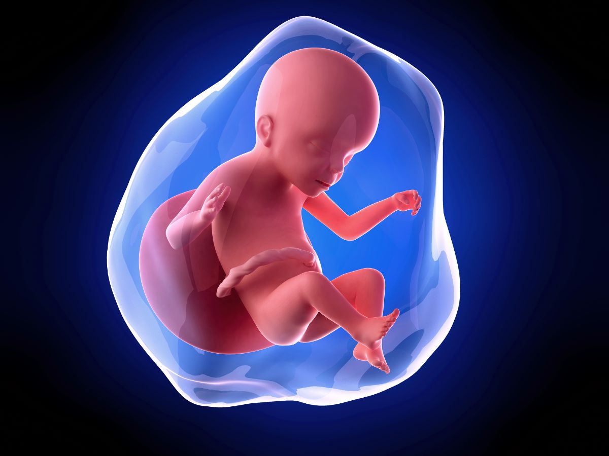 baby in the womb- Fetal Thrombocytopenia