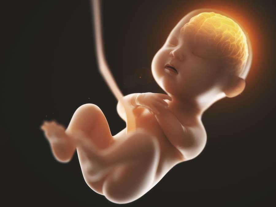 Baby fetus moving-Week 22 Of Pregnancy