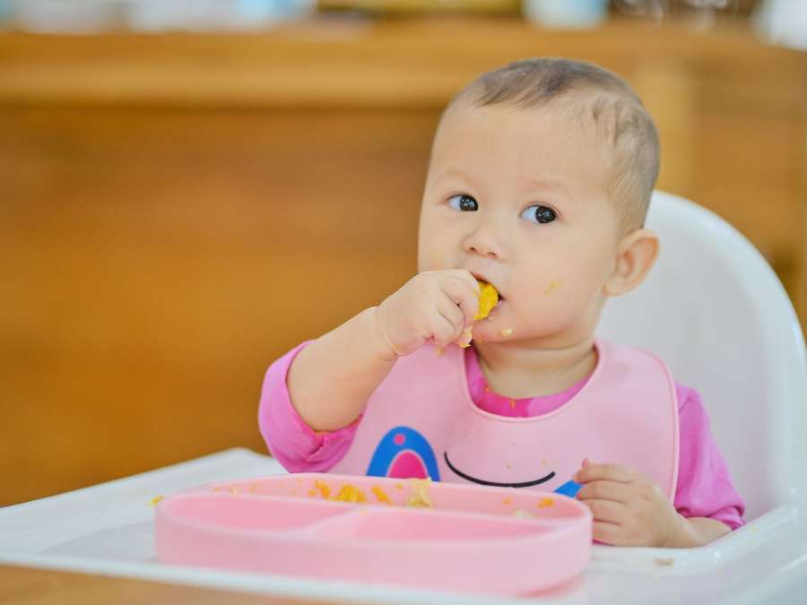 SUCTION BOWL FOR CHILD-Complex Foods For Babies