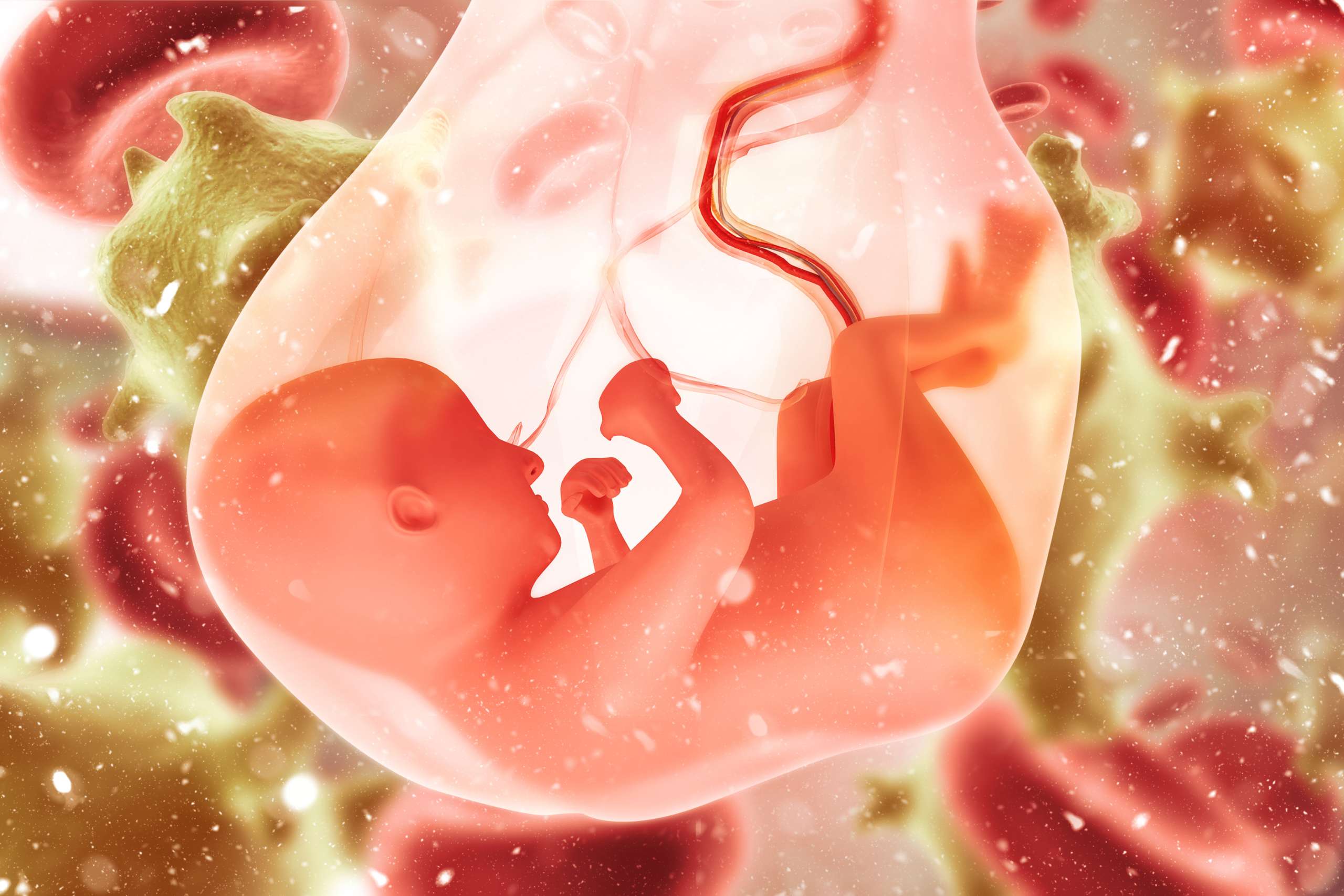 amniotic sac- Maternal Drug Use