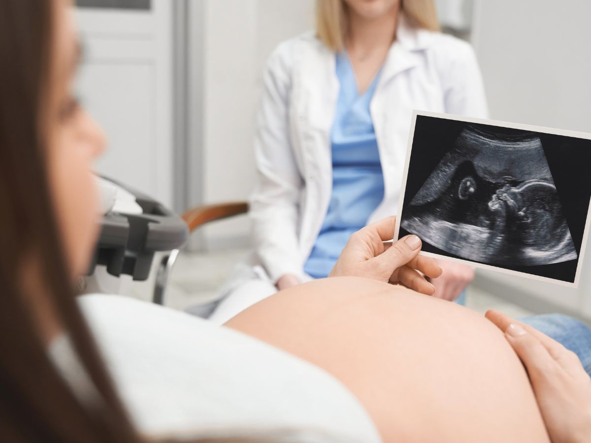 studying the ultrasound- Understanding Fetal Bradycardia