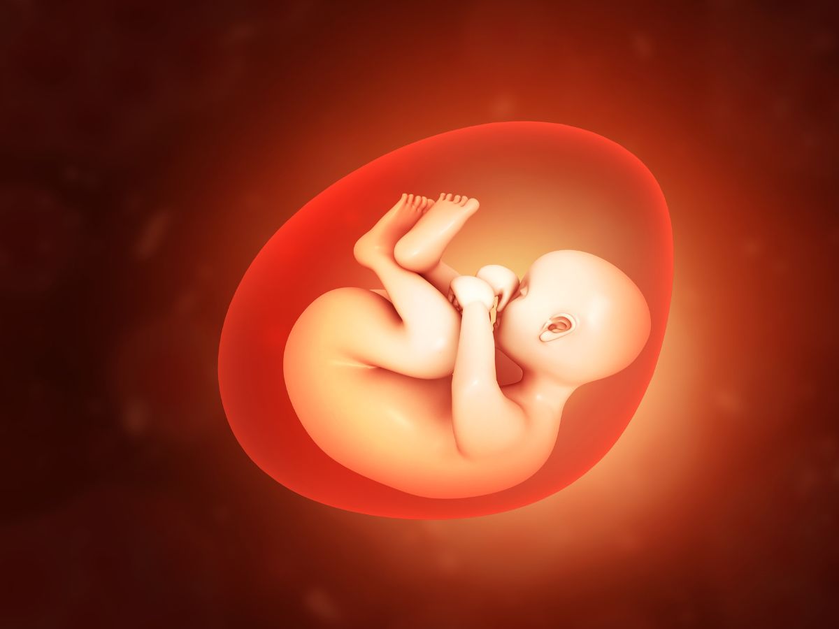 fetus in womb- Premature Rupture Of Membranes