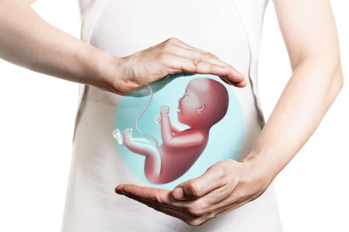 fertility-Mental Health And Fertility