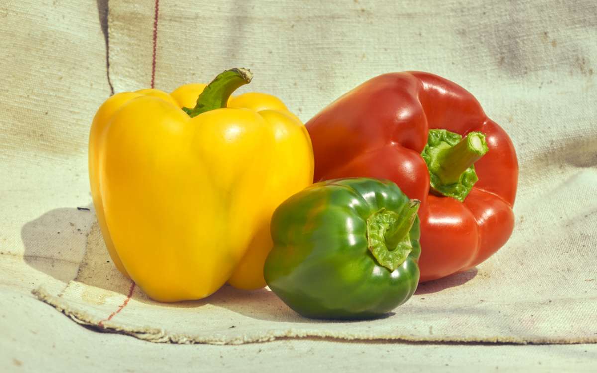 Red, yellow and green coloured pepper-Vegetable Options For Pregnancy