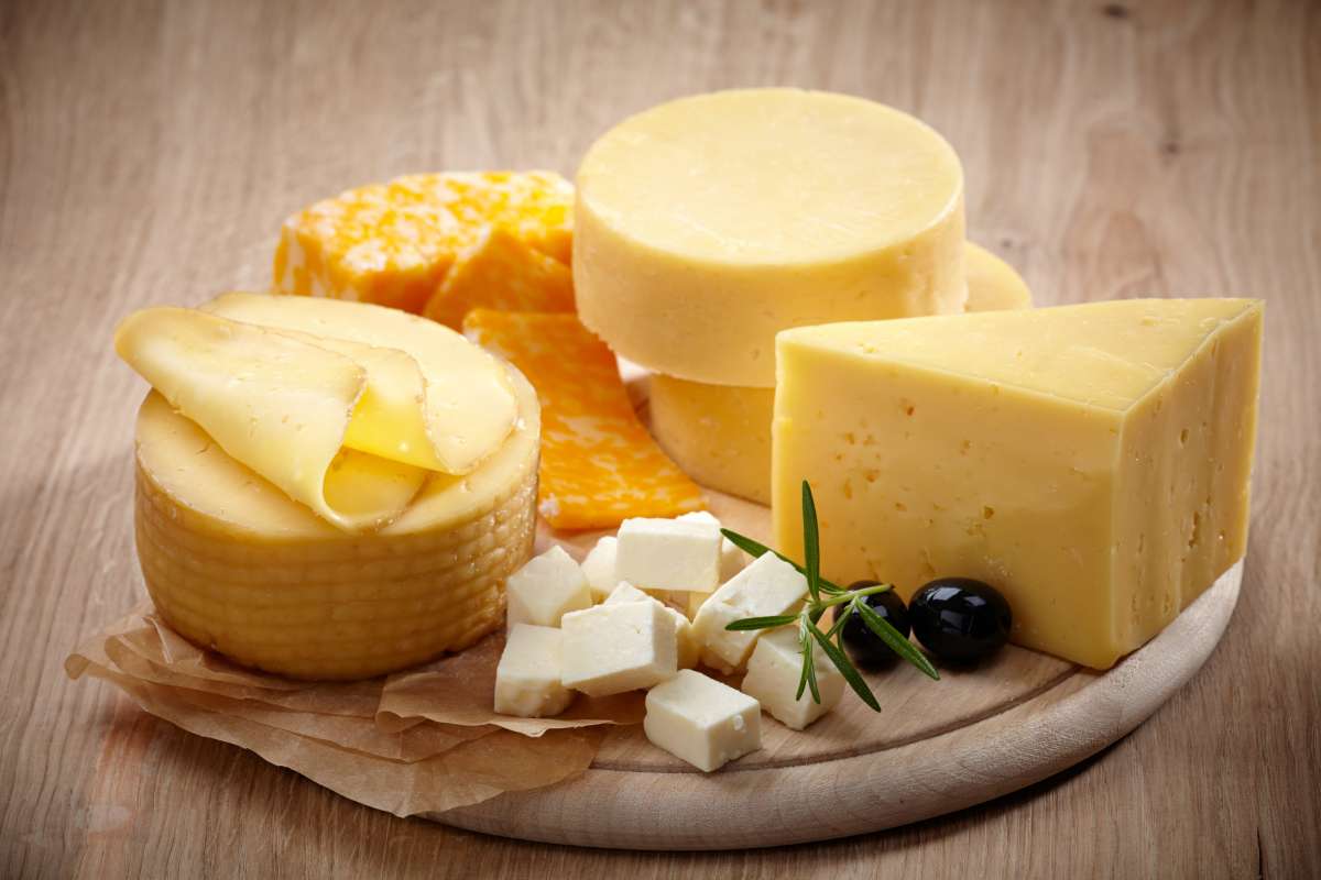 cheese-  Vitamin K In Your Diet