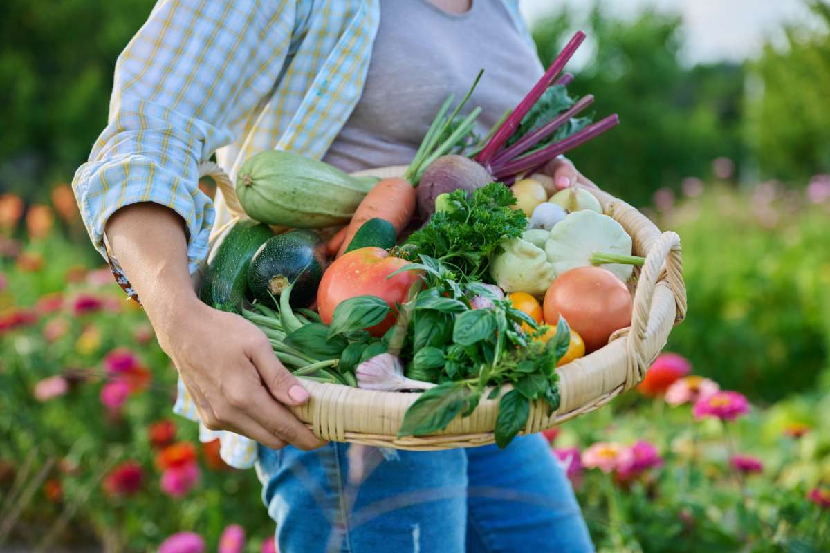Close up basket of fresh raw organic vegetables in farmer hands- Gardening Activities for Children