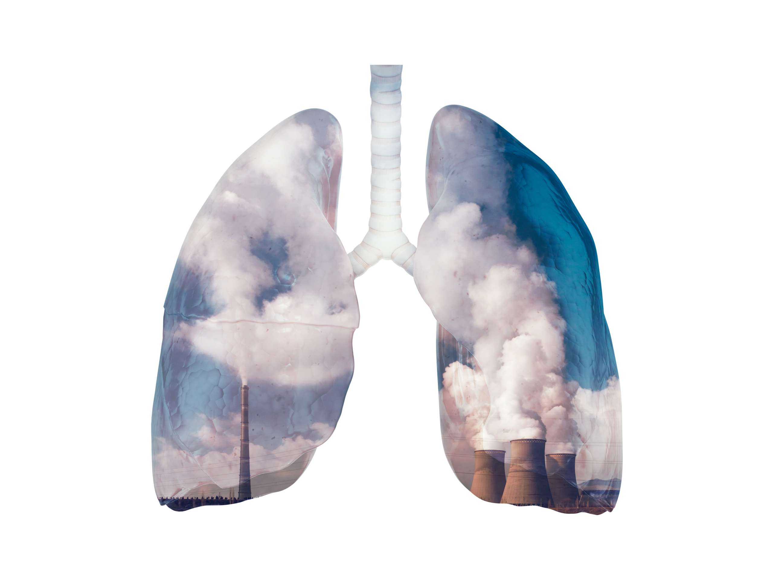 Lungs and environment pollution