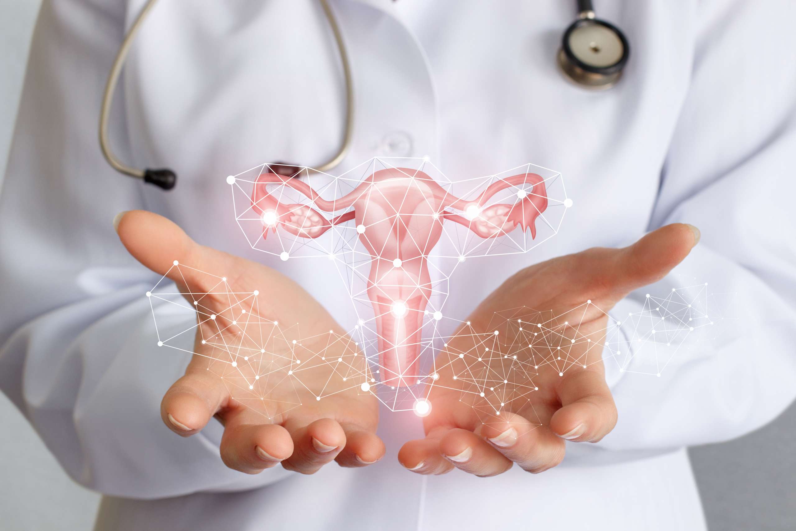 uterus- Calcium For Optimal Reproductive Health