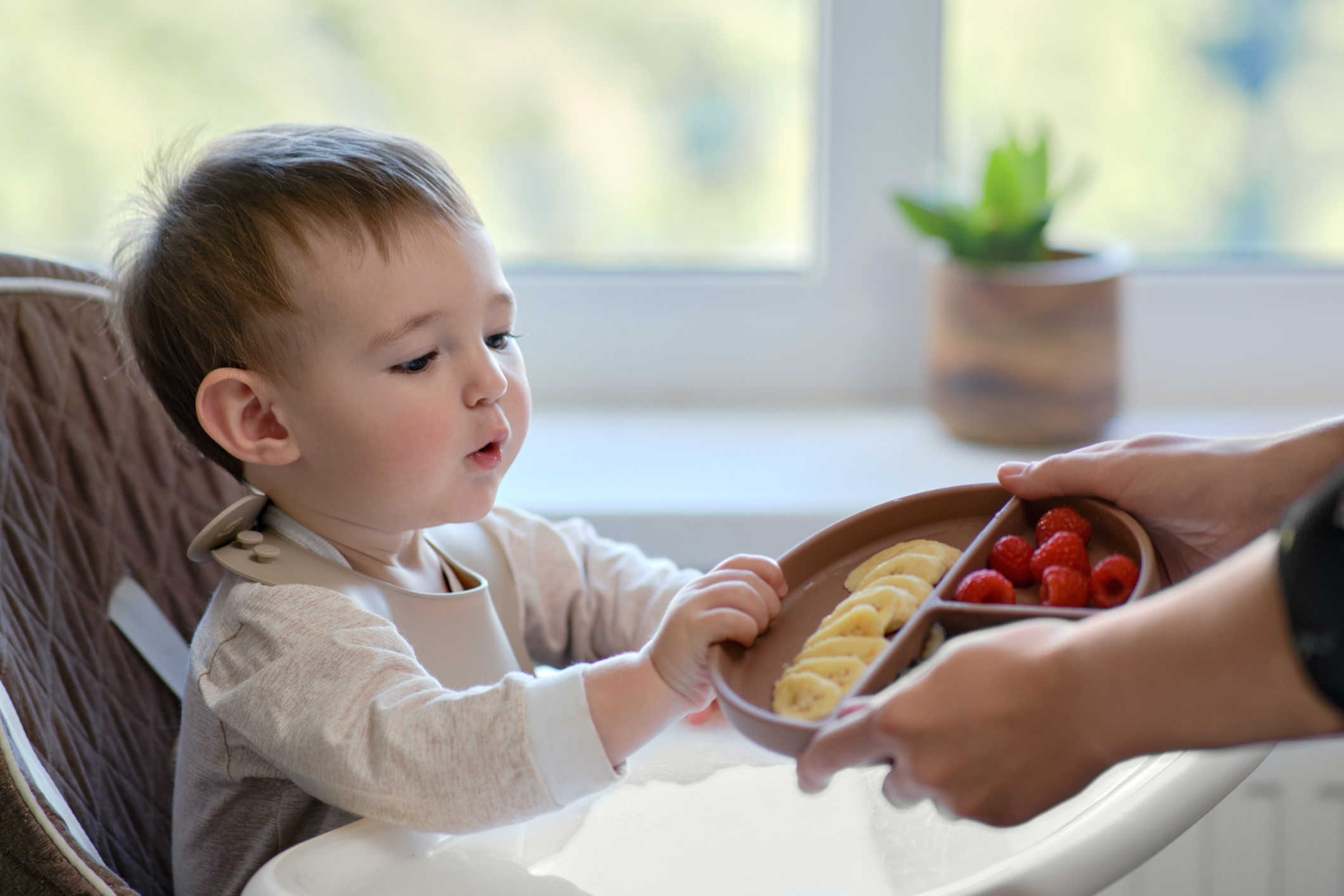 Mother gives toddler baby fruits and berries on a plate. Surprised child takes food from mom woman hands. Kid aged one year and two months-Salt Intake In Babies