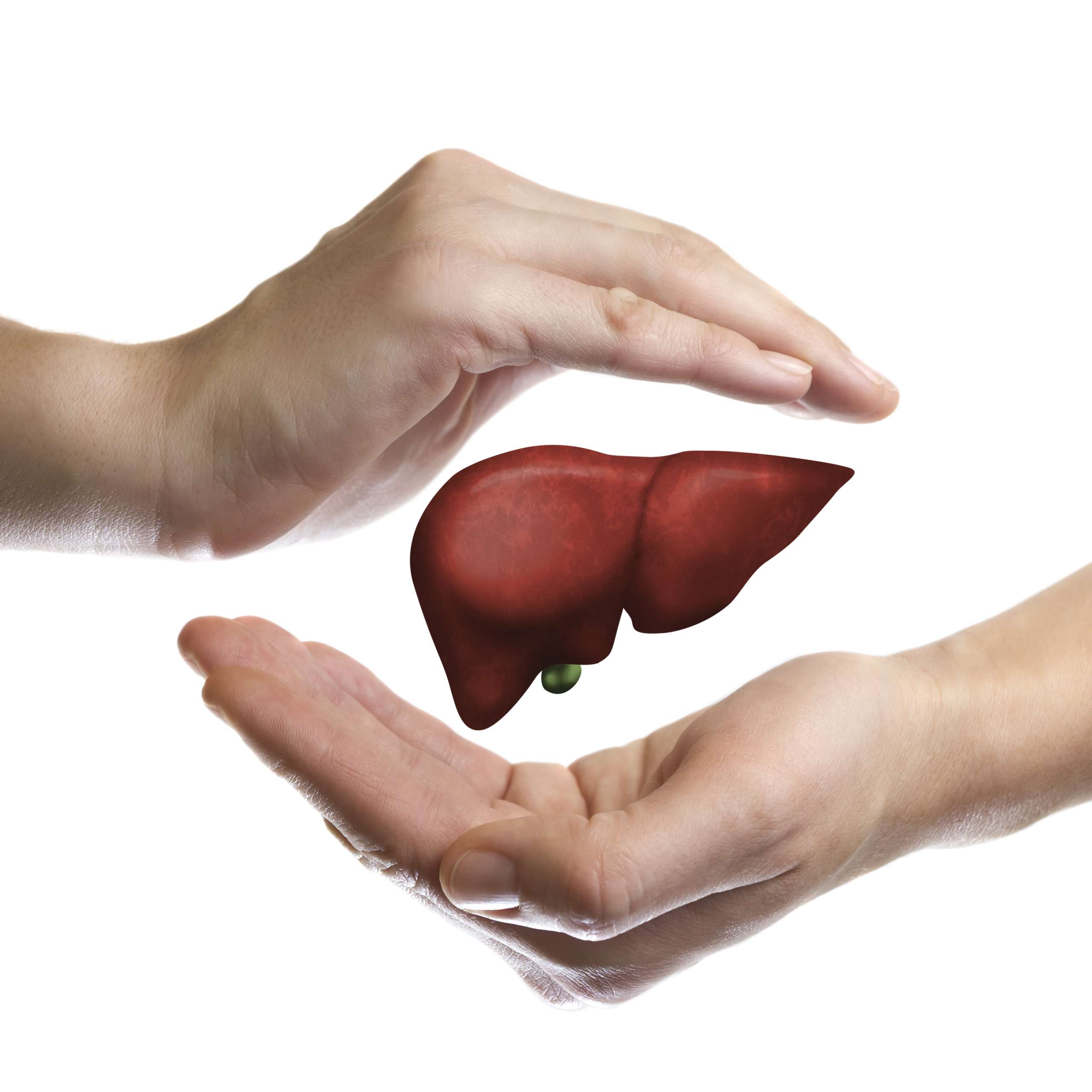 The concept of a healthy liver.
